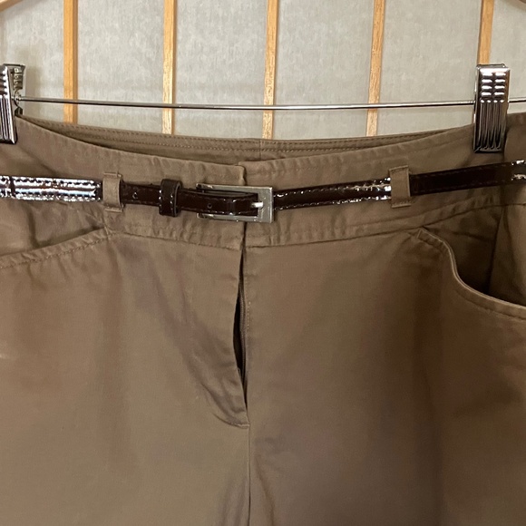 Modern Fit Straight Leg Taupe Cropped Pants Sz 4 - Picture 3 of 8